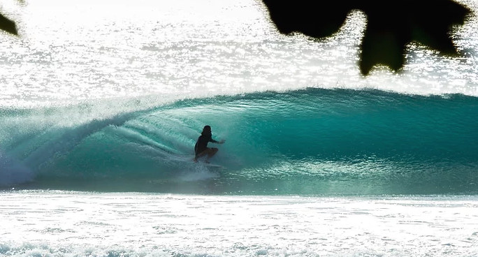 Morning Of The Earth Surfboards